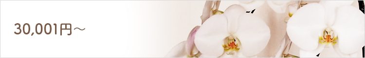 30,001円～