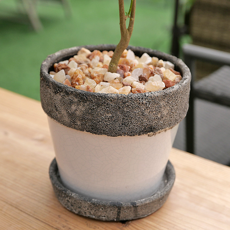 ガーデンポリシャス 陶器鉢植え・Mサイズ(ポプラント/ラウンド)