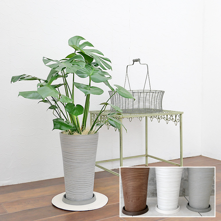 モンステラ 樹脂製鉢植え(12AH22)