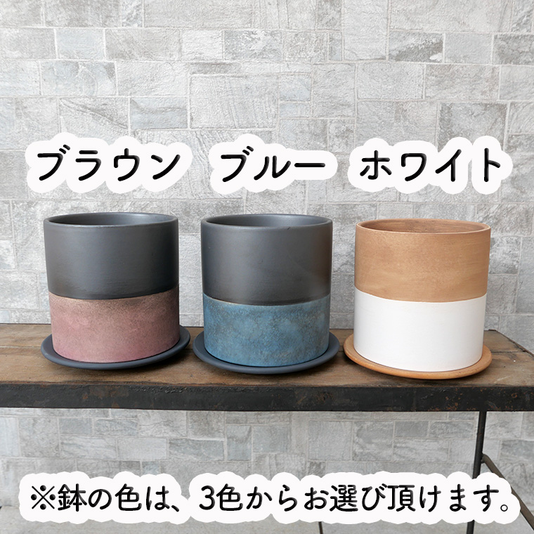 陶器鉢（NA017・Mサイズ）