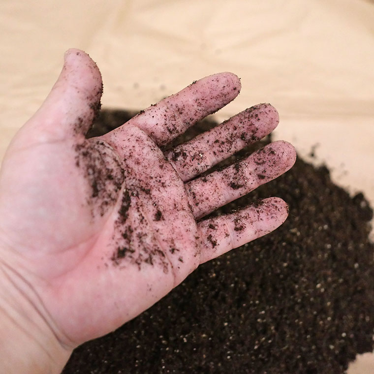 シードソイルEX