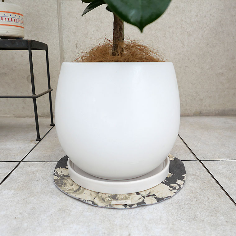 フィカス・ティネケ 陶器鉢カバー付き（マットシリーズ/ムーン） 観葉