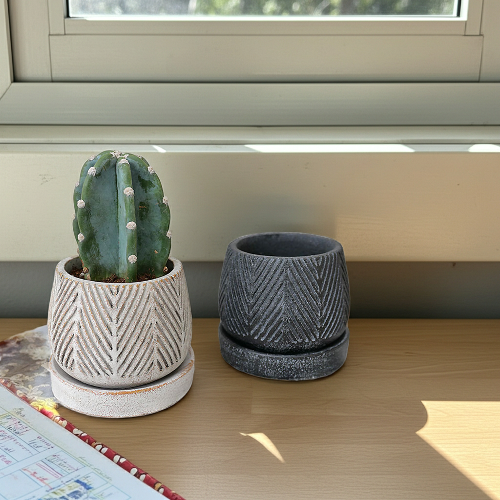 ハシラサボテン　陶器鉢植え（ヘンリーボーン・S）