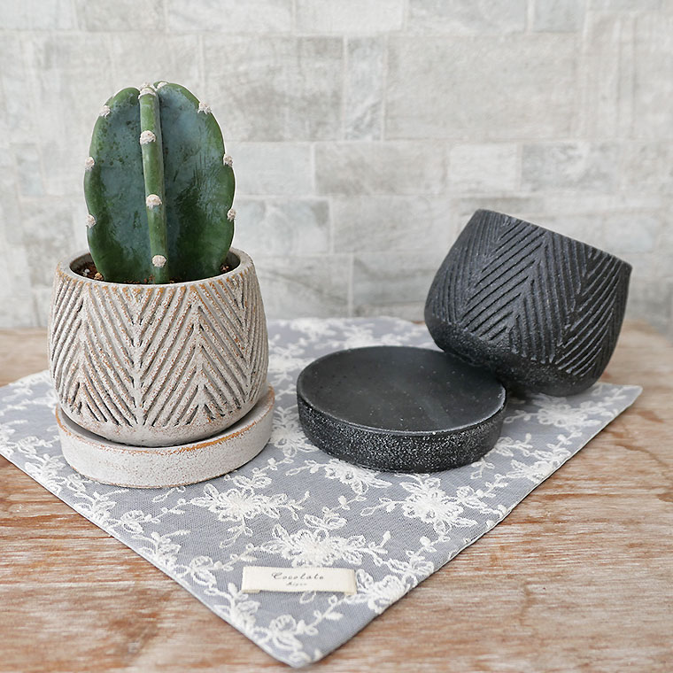 ハシラサボテン 陶器鉢植え（ヘンリーボーン・S） 観葉植物と植木鉢の