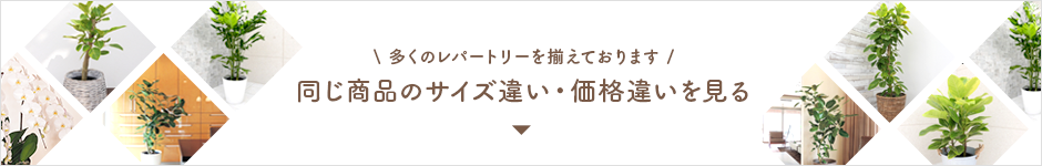 おなじ商品のサイズ違い・価格違いを見る