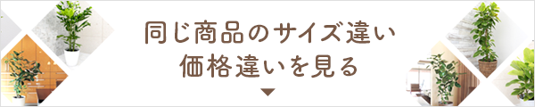 おなじ商品のサイズ違い・価格違いを見る