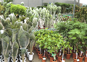 商品入荷時の様子