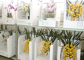 商品入荷時の様子