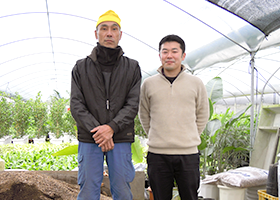 生産農家さん