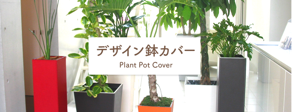 デザイン鉢カバー 観葉植物と植木鉢の専門店 Cocolate デザイン鉢カバー 観葉植物と植木鉢の専門店 Cocolate
