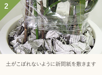 土がこぼれないように新聞紙を敷きます