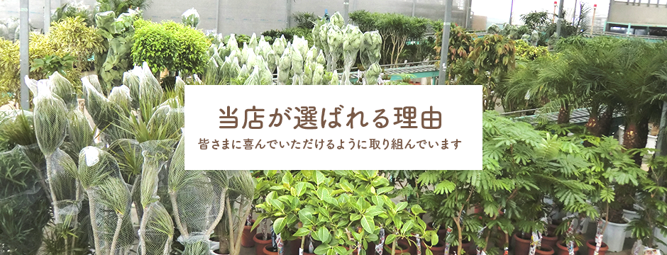当店が選ばれる理由