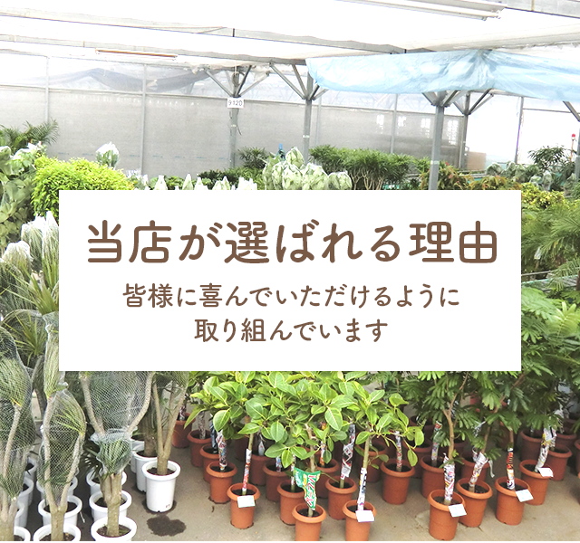 当店が選ばれる理由