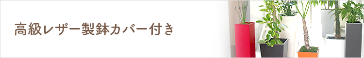 高級レザー整鉢カバー付き