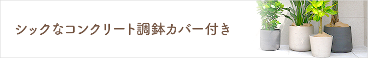 シックなコンクリート調鉢カバー付き